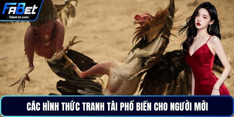 Các hình thức tranh tài phổ biến cho người mới