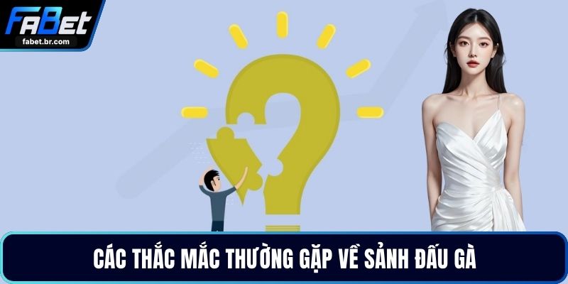 Các thắc mắc thường gặp về sảnh đấu gà