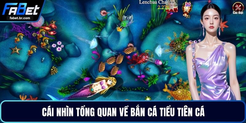 Cái nhìn tổng quan về bắn cá tiểu tiên cá