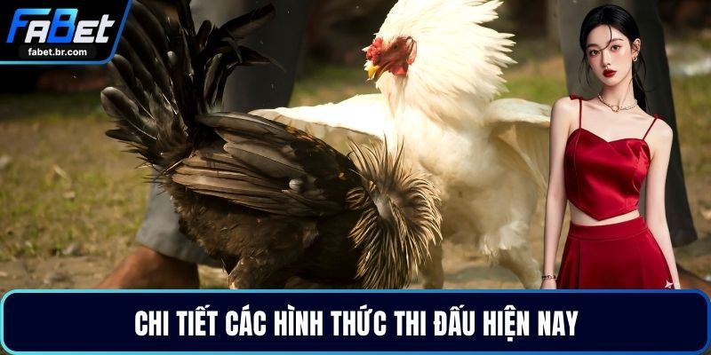 Chi tiết các hình thức thi đấu hiện nay
