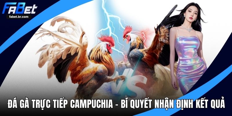 đá gà trực tiếp Campuchia