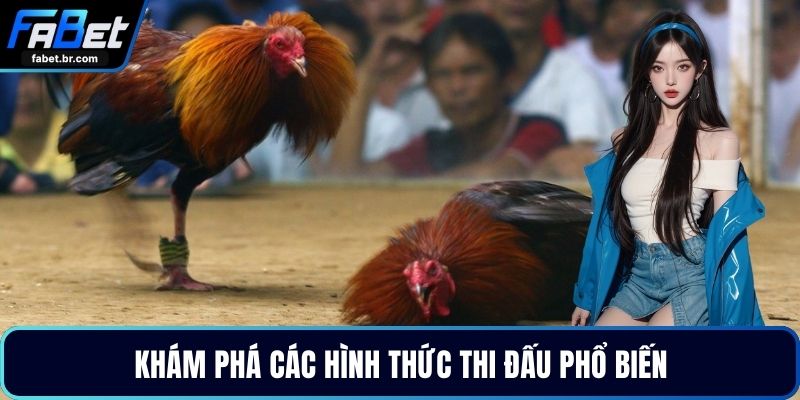 Khám phá các hình thức thi đấu phổ biến